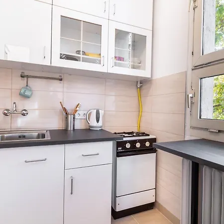 Central Studio Apartment 아파트 *